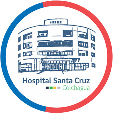 Logo Hospital de San Fernando